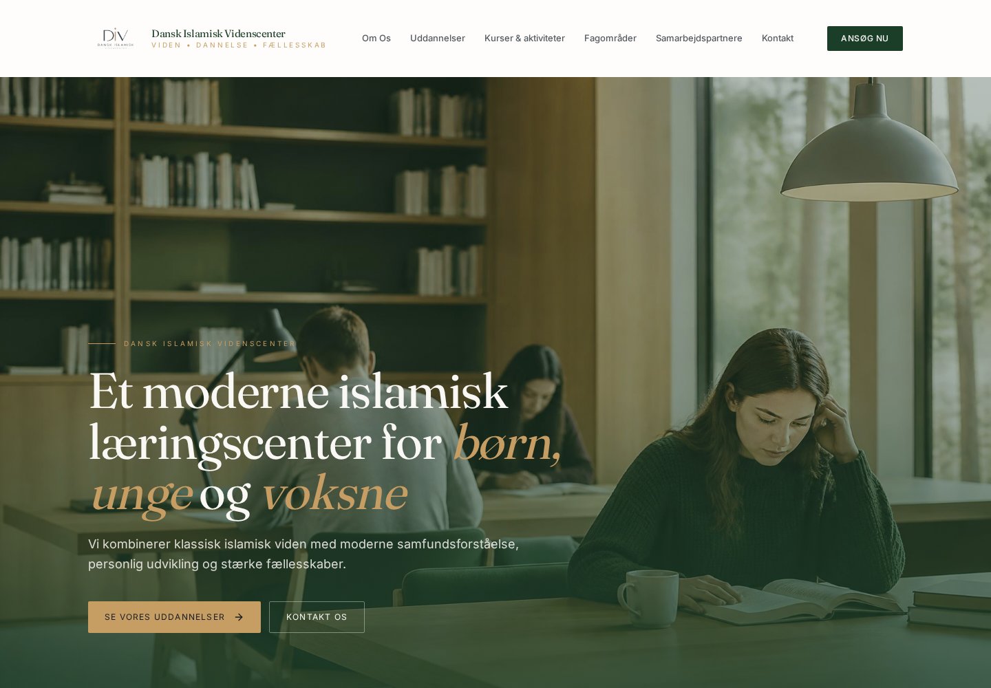 Skærmbillede af DIVC